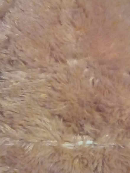 Photo of free Soft toys (CT9) #4