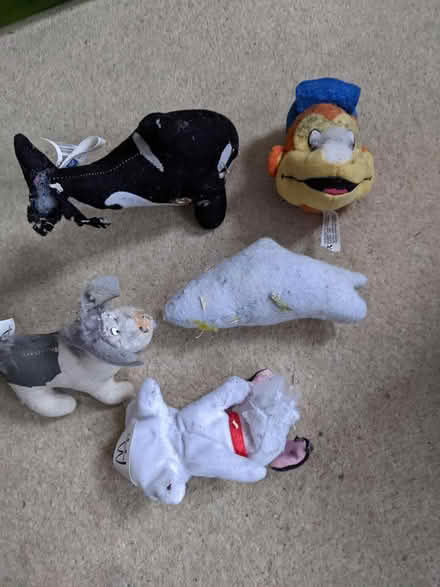 Photo of free Five small cuddly toys - material (Hastings TN34) #1