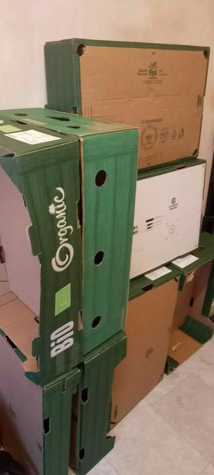 Photo of free Cardboard Storage Trays (St George Bristol BS5) #2