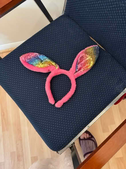 Photo of free Bunny ears headband (Severna Park) #1