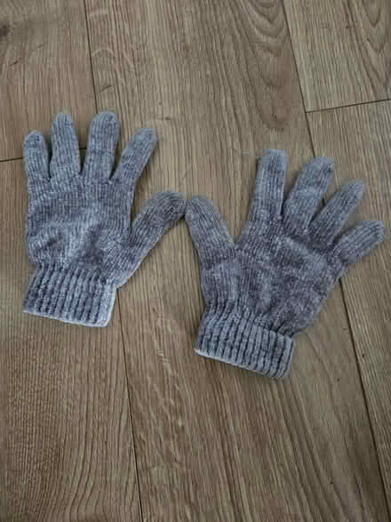 Photo of free Ladies gloves (Handsworth) #1