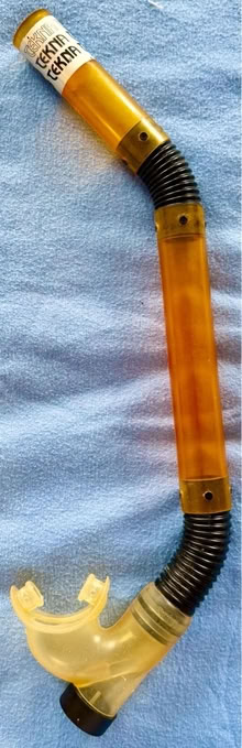 Photo of free Wetsuit, fins, snorkel and mask (Washington Heights) #3