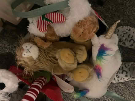 Photo of free Bag of assorted teddies (Southdown) #1