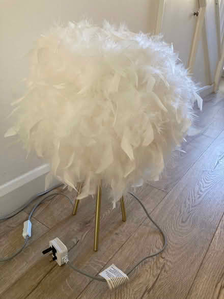 Photo of free Small feathered lamp (Upper Norwood SE19) #1