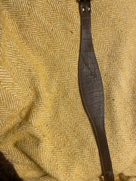 Photo of free Greyhound Style Dog Collar (Bradford Leigh BA15) #1