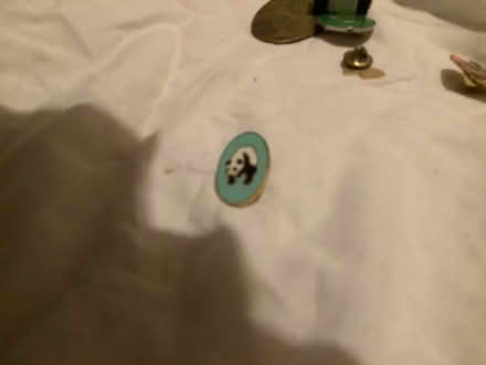 Photo of free Metal panda badge (Brampton S40) #1