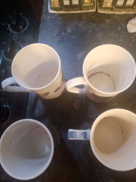 Photo of free 4 Cups Highland Cow & Chickens (Culgaith CA10) #2