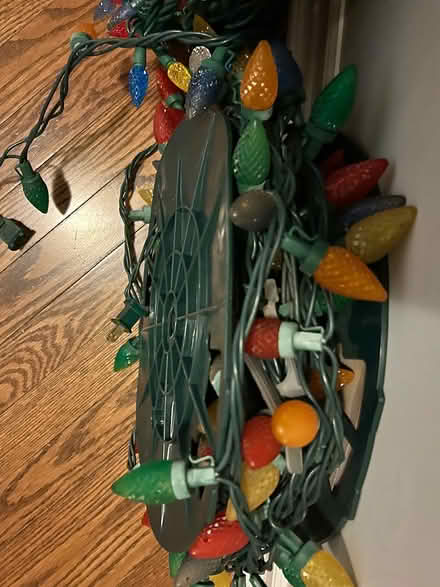 Photo of free Christmas lights (milton, derry and scottl) #2