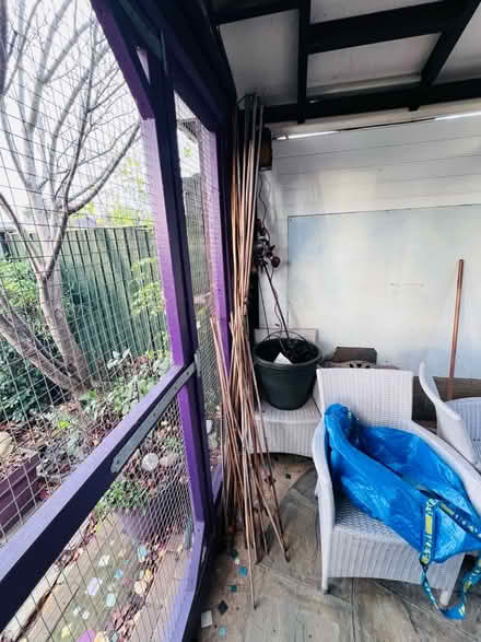 Photo of free Bamboo canes (Grays RM20) #1