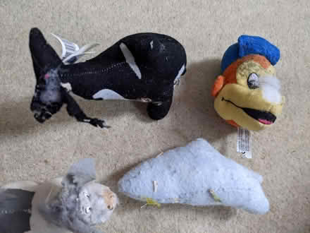 Photo of free Five small cuddly toys - material (Hastings TN34) #2