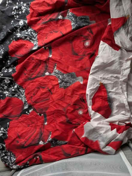 Photo of free Duvet cover and pillow cases (Salford M7) #1