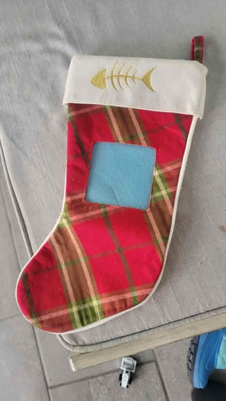 Photo of free Cat Stocking (Aberdeen by train station) #1