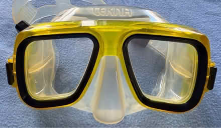 Photo of free Wetsuit, fins, snorkel and mask (Washington Heights) #4