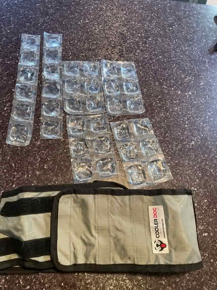 Photo of free Cooler Dog Vest-medium (Capitol Hill, Lincoln Park) #1