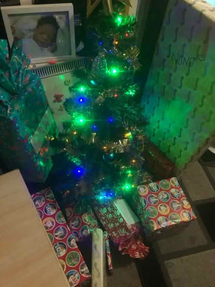 Photo of free 4Ft Christmas tree (NW11) #2