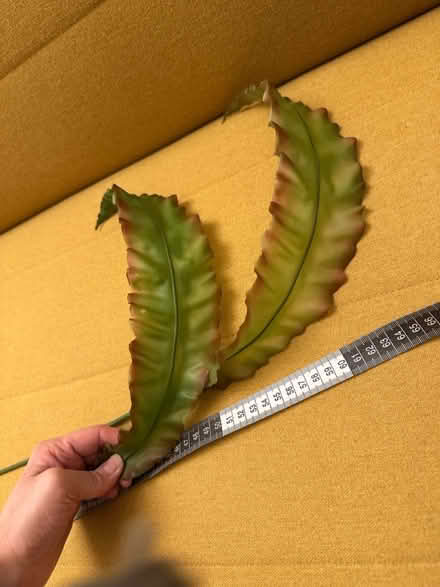 Photo of free Random craft supplies (OX3 8TG) #3