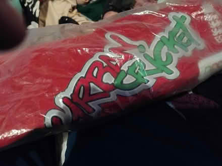 Photo of free Solid plastic cricket bat and bag (Leeds 9 LS9) #1