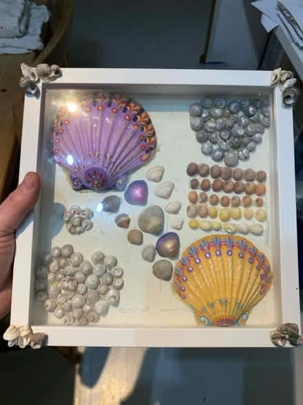 Photo of free Shell picture (Wood Street Village GU3) #1