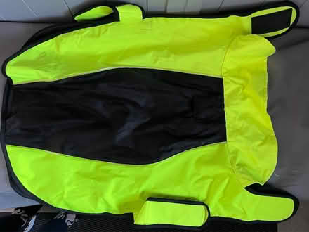 Photo of free Dog Coat (Titchfield Common PO14) #3