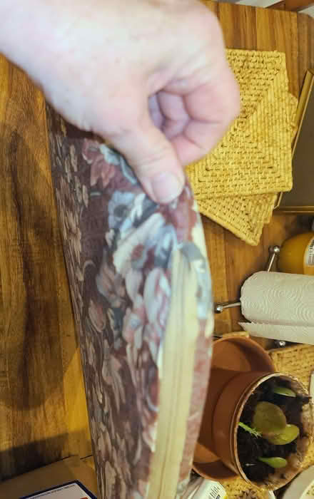 Photo of free 4 kitchen chair cushions (Dalston E8) #2