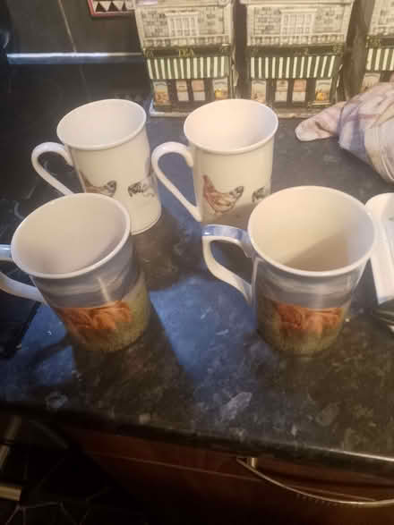 Photo of free 4 Cups Highland Cow & Chickens (Culgaith CA10) #1