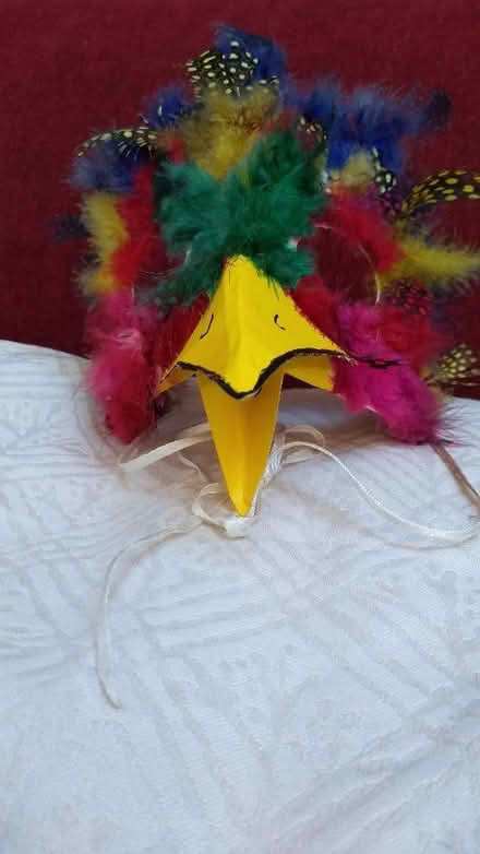 Photo of free Bird mask (Risinghurst OX3) #4