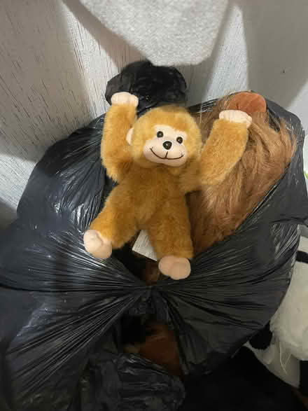 Photo of free Black bag of monkey teddies (Southdown) #1