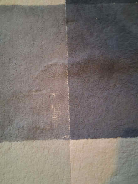 Photo of free Large IKEA rug (Clarkston G76) #2