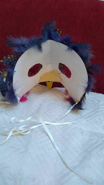 Photo of free Bird mask (Risinghurst OX3) #2