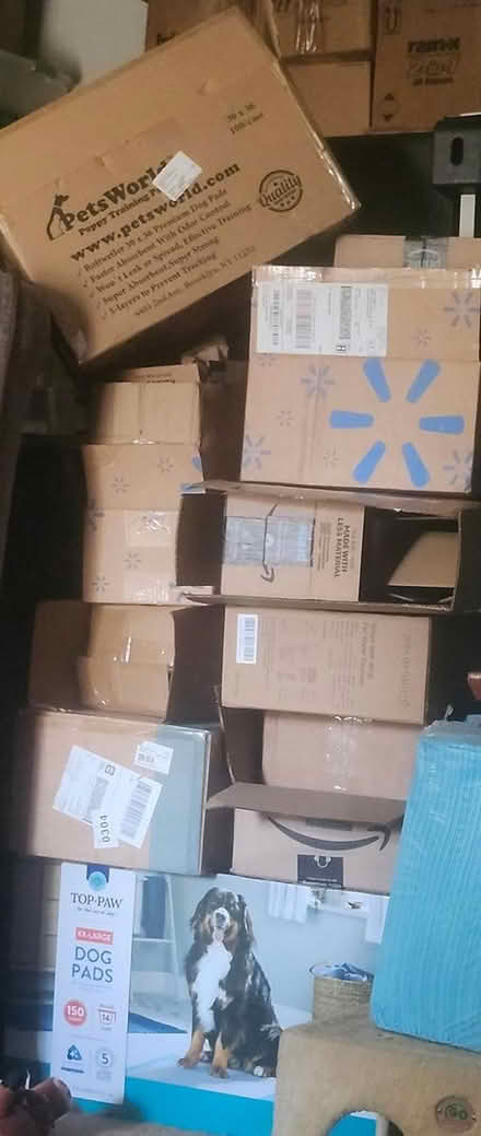 Photo of free Christmas ornament (Germantown) #1