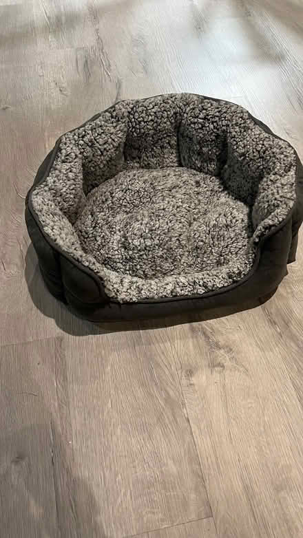 Photo of free Cat bed - unused (West Ham Park E15) #1