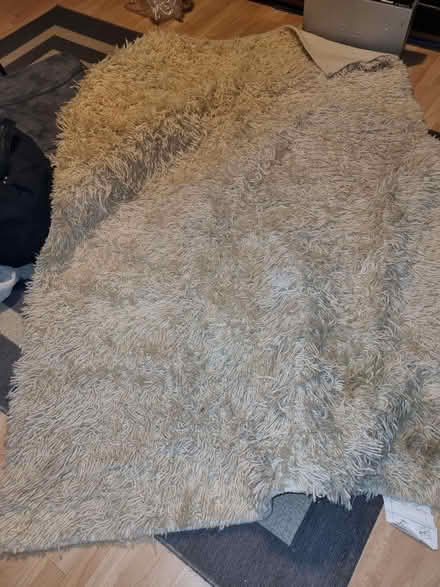 Photo of free Ikea Shaggy Rug 200cm x 136 cm (HA0) #1