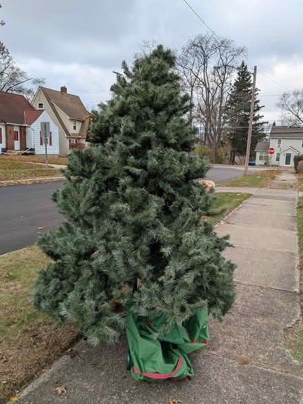 Photo of free Christmas Tree (Painesville OH) #1