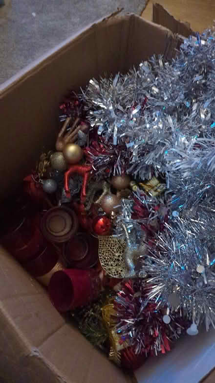 Photo of free Christmas decorations (Dy5 1DL) #1