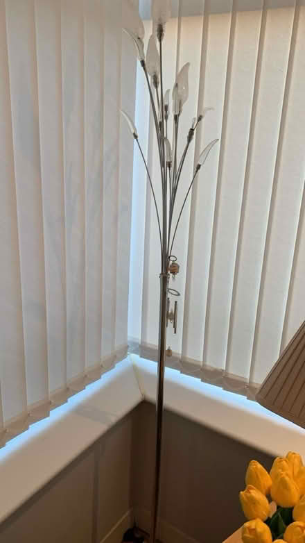 Photo of free Floor lamp (Kingsthorpe) #1