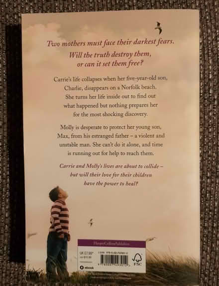 Photo of free Two Fiction Books (Handforth SK9) #3