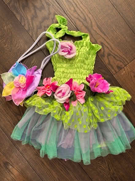 Photo of free Flower fairy costume (N1 - Barnsbury) #1