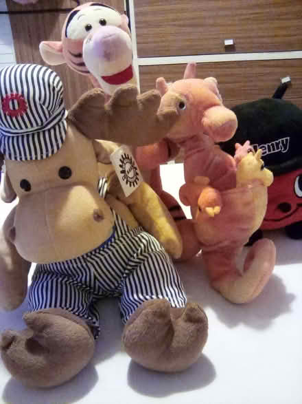Photo of free Soft toys (CT9) #1