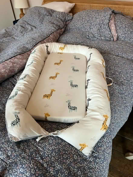 Photo of free Judoka baby nest (Se20) #1