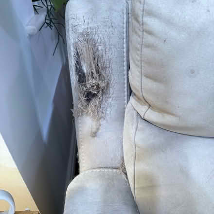 Photo of free Electric recliner - fabric damaged (WA10) #3