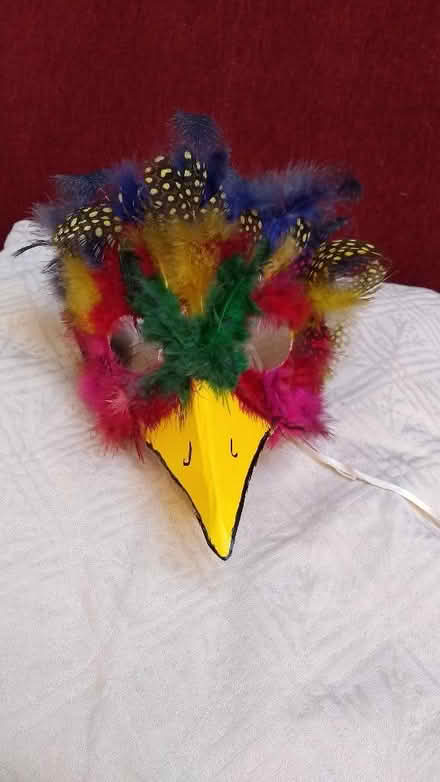Photo of free Bird mask (Risinghurst OX3) #1