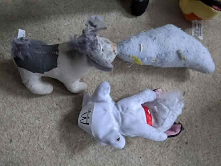 Photo of free Five small cuddly toys - material (Hastings TN34) #3