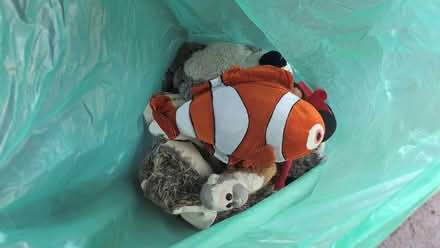 Photo of free Bag of soft toys (Amesbury SP4) #1