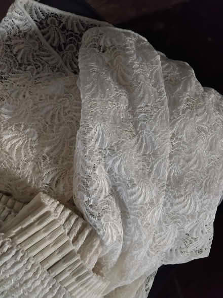 Photo of free Net curtain (Upton Priory SK10) #3