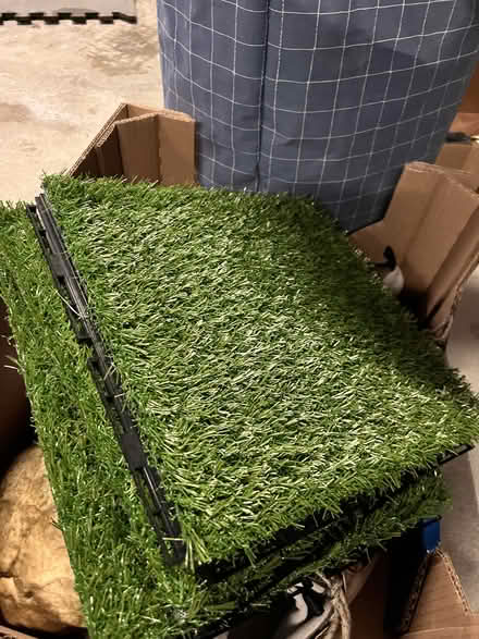 Photo of free clothes and more (soma) #1