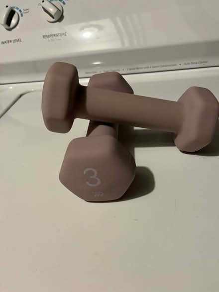 Photo of free 3 lb hand weights (Somerville, Spring Hill) #1