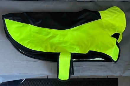 Photo of free Dog Coat (Titchfield Common PO14) #1