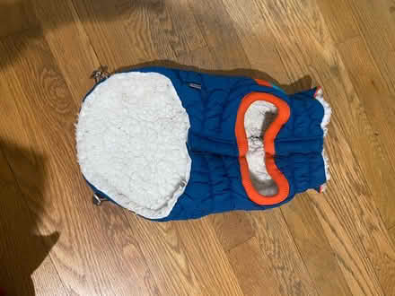 Photo of free GF Pet Dog Coat #2 (Clarendon) #2