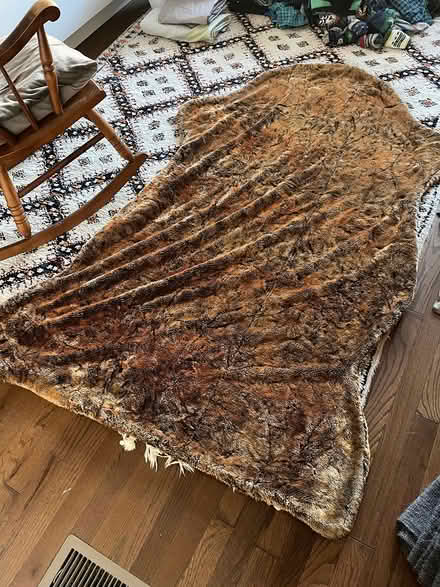 Photo of free 2 blankets (Columbia Heights) #2