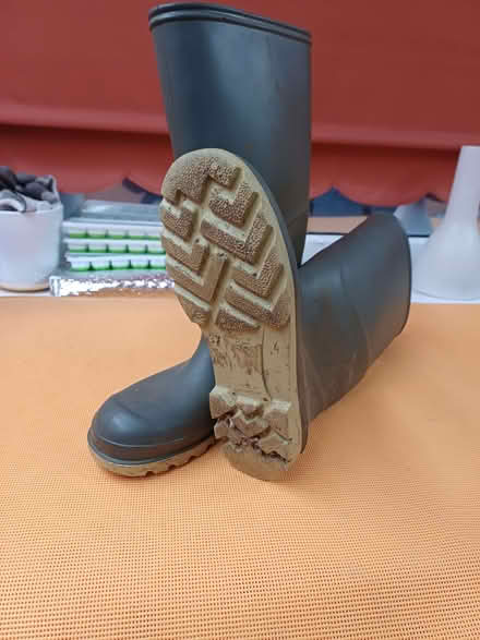 Photo of free Wellington Boots (Cherwell Heights OX16) #1